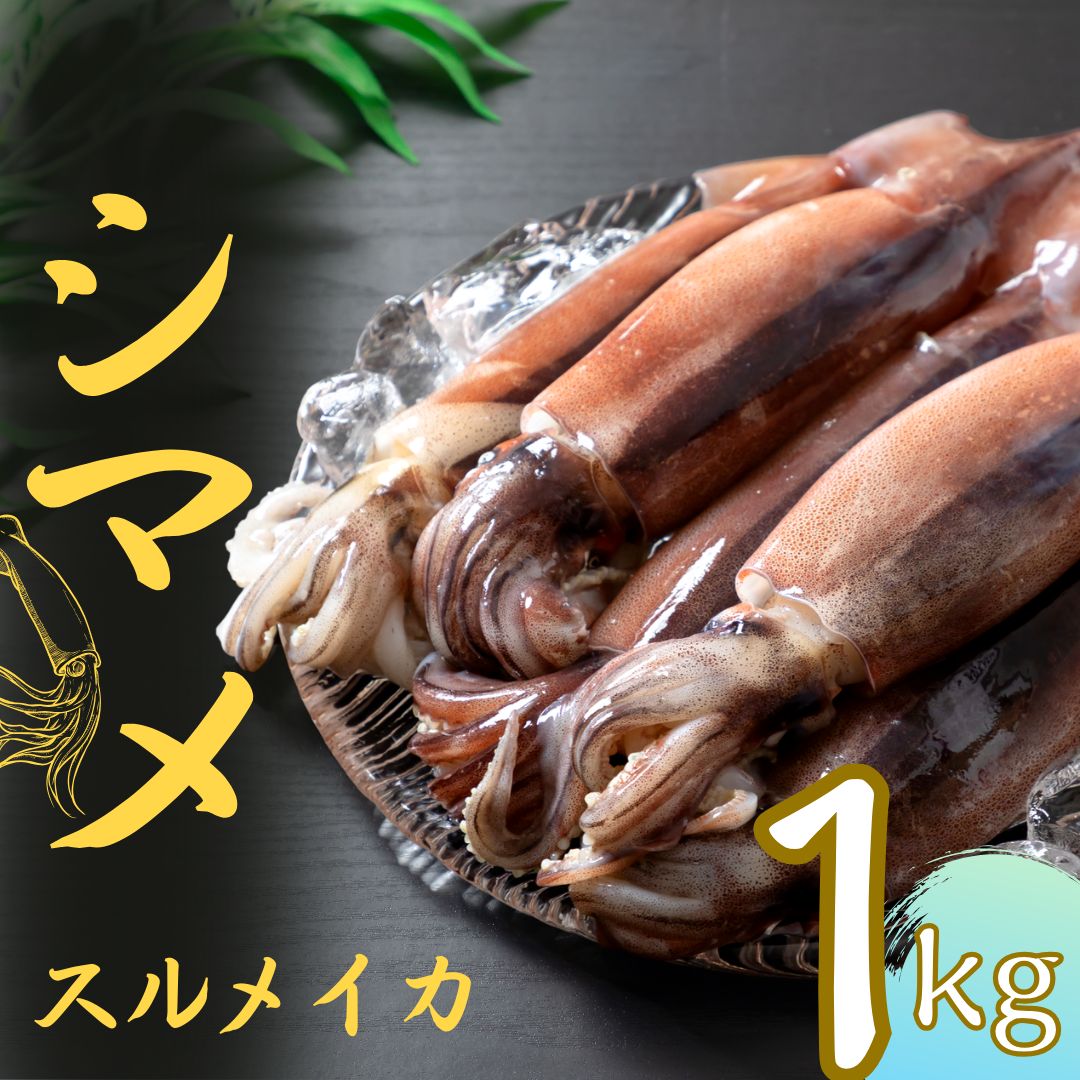 【ふるさと納税】朝どれシマメ(スルメイカ) 約1kg 5～6杯 いか イカ スルメイカ 朝どれシマメ シマメ