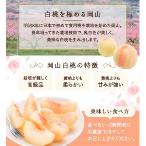 岡山県産　白桃 8玉(2kg以上) 等級:ロイヤル 化粧箱入り【配送不可地域：離島・北海道・沖縄県】【1546676】