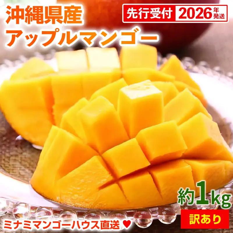 【先行受付】【2026年発送】ミナミマンゴーハウスの訳ありアップルマンゴー 約1kg - 訳あり 先行予約 沖縄県産 産地直送
