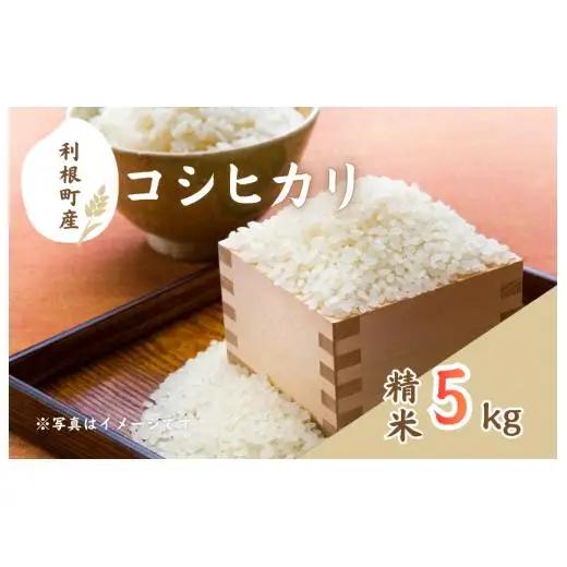 利根町産コシヒカリ　精米5kg ／ 米 こめ コメ お米 おこめ コシヒカリ こしひかり 令和7年産 白米 精米 ご飯 ごはん 10kg 送料無料
