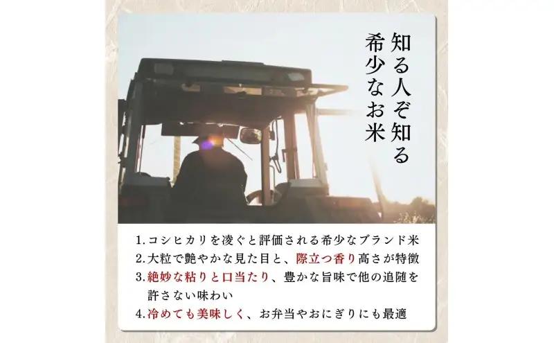 【令和8年10月配送】【プロも高評価！】令和8年産 新潟県上越市産 みずほの輝き 5kg 新米 先行予約 大潟ナショナルカントリー