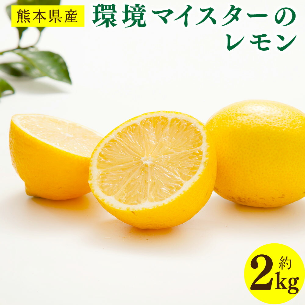 【ふるさと納税】環境マイスターのレモン 2kg サイズ混合 無肥料／栽培期間中農薬を減らして栽培 くだもの 果物 果実 フルーツ 料理 お菓子づくり ドリンク 熊本県産 国産 九州 熊本県 水俣市 送料無料 【2025年11月上旬～2026年4月下旬発送予定】