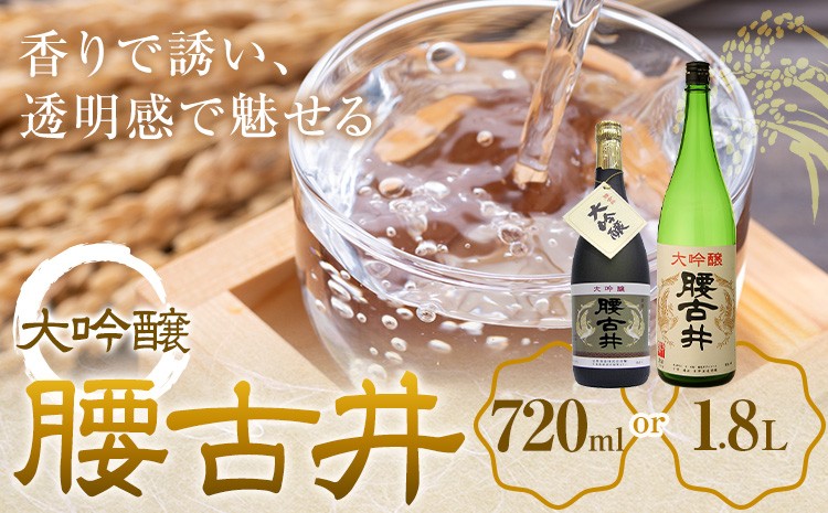 
                  腰古井 大吟醸 選べる 720ml 1.8L 1本 有限会社 滝口商店《30日以内に出荷予定(土日祝除く)》千葉県 勝浦市 日本酒 酒 大吟醸
                
