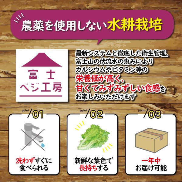 富士山の伏流水で農薬を使わず育てた新鮮レタス5種類×2株セット(1517)