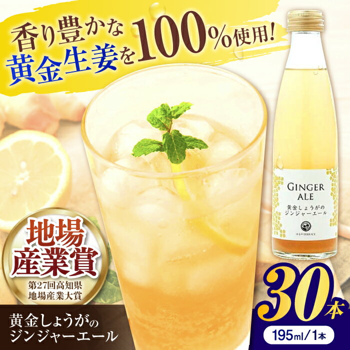 【ふるさと納税】黄金しょうがのジンジャーエール30本 / 土佐生姜 スパークリング ジンジャーエール 爽やか【はるのTERRACE】[ATAV003]