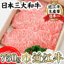 【ふるさと納税】【森村商会】近江牛 特選サーロイン ステーキ【750g（約250g×3枚）】【牛肉】【牛】【冷蔵】【国産】