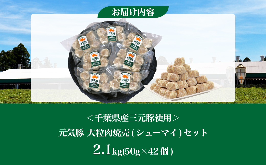 【千葉県産三元豚】元気豚 大粒肉焼売(シューマイ)セット　2.1kg(50g×42個)【配送不可地域：離島・沖縄県】 TAKB014