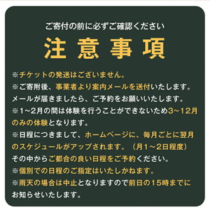 はじめてのフラットダート 1名 体験 モータースポーツ 初心者 【（株）GoodWin】【ho1562】