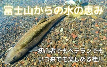 【都留漁業協同組合】桂川本・支流　令和5年度　年間遊漁証（全魚種）｜桂川 フィッシング 渓流釣り アングラー スーパーレインボー マス釣り ヤマメ釣り イワナ釣り