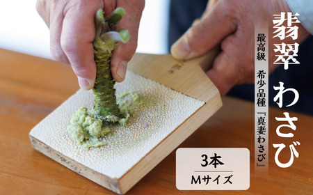 本わさび「真妻わさび」Mサイズ３本セット 約240ｇ 北アルプスの湧水が育てた山の宝石 ワサビ  