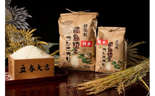 
            【令和7年産 新米予約】【高級】南魚沼塩沢産こしひかり5kg×2袋(白米)【令和7年10月中旬以降発送】【米 お米 こしひかり 南魚沼 米 白米 こめ 新潟 米】
          