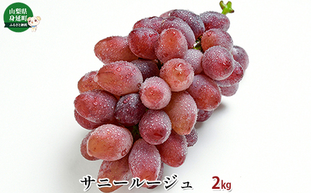 サニールージュ約2kg 果物類 ブドウ 葡萄 フルーツ 果物 デザート おやつ 食後 山梨県産 