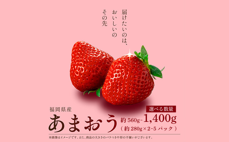 
            【先行予約】 福岡県産 あまおう 560g~1.4kg (280g×2~5P) 冷蔵 小分け いちご 福岡県産 苺 あまおうイチゴ フルーツ あまおう 果物 スイーツ くだもの 冬 春 旬 福岡 九州 福岡県 川崎町 数量限定 期間限定 エコファーマー 特別栽培 【1月上旬より順次出荷】 
          