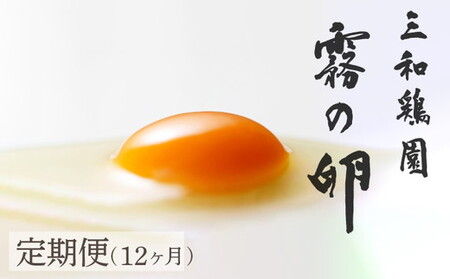 【TVで紹介】【12回定期便】卵 霧の卵 120個 定期便【北海道・沖縄・離島配送不可】