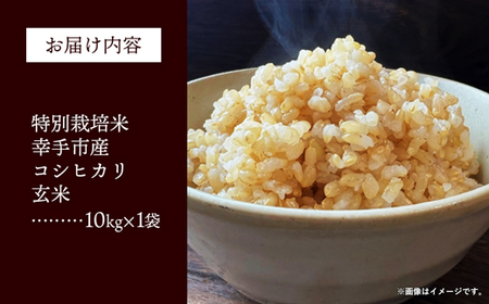 【令和7年産】無農薬・無化学肥料栽培 埼玉県幸手市産特別栽培コシヒカリ 「幸ヒカリ」玄米10kg - 米 特別栽培米 幸手市産