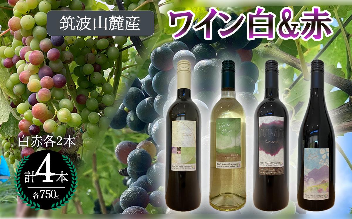 
            つくば市 筑波山麓産ワイン4本セット　ビーズニーズヴィンヤーズ／Bee's Knees Vineyards【 ワイン お酒 酒 果実酒 ブドウ 白ワイン 赤ワイン 日本ワイン 国産ワイン ワイン専用ブドウ品種  国産 つくば市産 茨城県産 飲み物 飲料 セット 人気 おすすめ 茨城県 つくば市 】
          