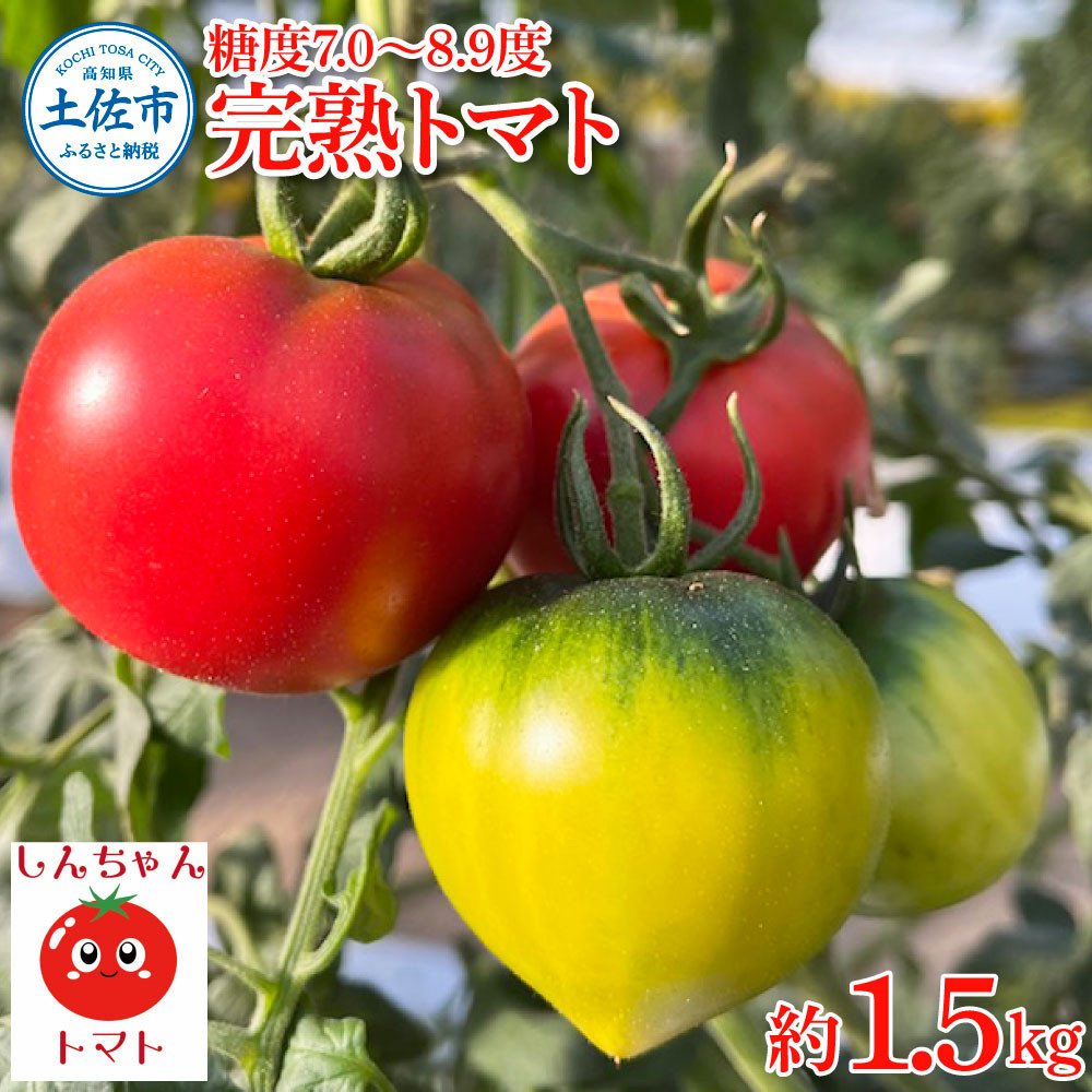 
                  【先行予約】完熟トマト しんちゃんトマト 糖度7.0～8.9度 約1.5kg（約750g×2箱） フルーツトマト 高糖度 高知県産 新鮮野菜 お取り寄せ ギフト 先行予約 高知県 土佐市【しんちゃんトマト】[BQCG005]
                