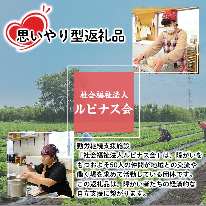 【0111505a】《思いやり型返礼品》発芽玄米のお餅・あくまき・甘酒(発芽玄米もち90g×10個、発芽玄米灰汁巻270g×2本、発芽玄米甘酒430g×2P)餅 もち あま酒 セット 詰合せ【ルピナス会】