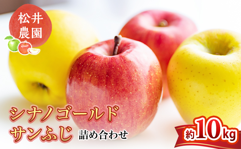 りんご サンふじ シナノゴールド 詰め合わせ 約10kg フルーツ 果物 甘い 林檎 セット