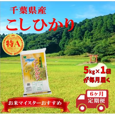 ふるさと納税 大網白里市 【毎月定期便】コシヒカリ 精米 5kg(5kg×1袋)全6回