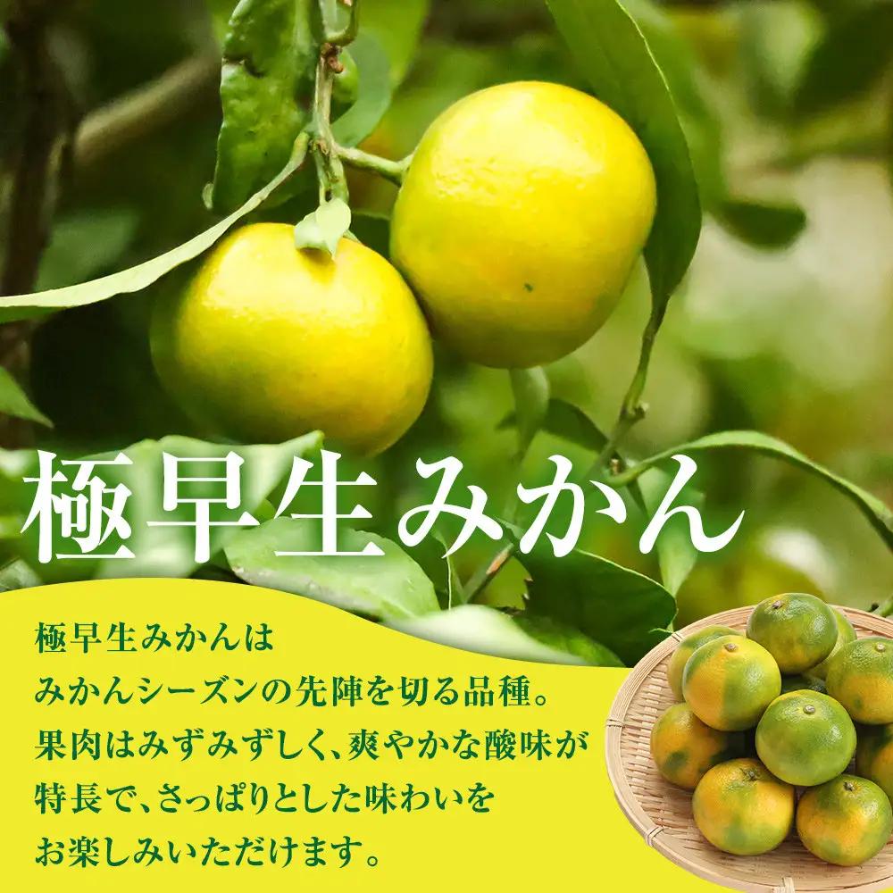 有田みかん専門店 有田の太陽®ファミリー 極早生 有田みかん 2.5kg＋補償分100g 山採れ・サイズ・等級 混合