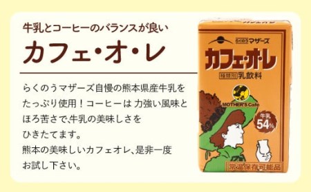 カフェオレ 250ml×24本 1ケース コーヒー牛乳 紙パック 常温保存可能