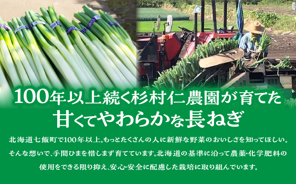 杉村仁農園の甘くてやわらかい長ネギ 5kg NACA001