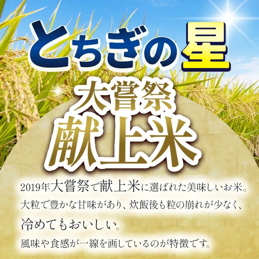 【定期３回】先行予約【令和8年度産】栃木県産とちぎの星 5kg | 【栃木県共通返礼品】 