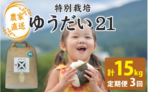 【先行予約】【3か月連続お届け】【令和8年産　新米】減農薬・化学肥料不使用 ゆうだい21 5kg×1袋×3ヶ月（計15kg）【2026年10月より順次発送】｜お米 白米 ごはん ご飯 米 こめ 新米 ギフト プレゼント 内祝い 贈り物 国産 高品質 高級 南越前町 送料無料 福井 北陸