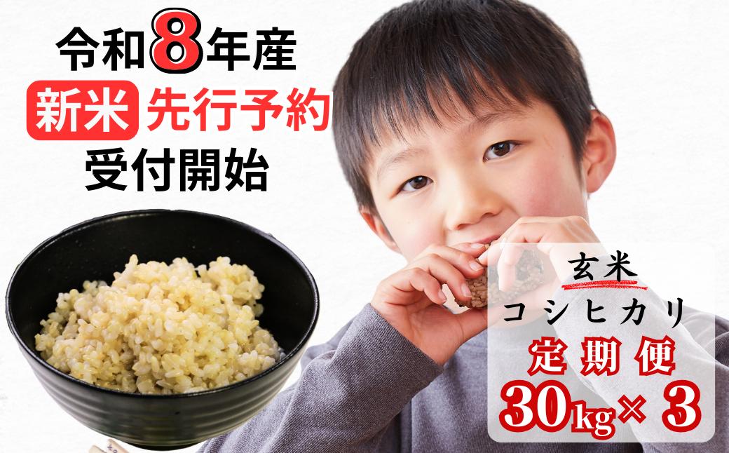 【令和8年産新米・先行予約】【3回定期便】あわくら源流米 コシヒカリ 玄米 30kg｜西粟倉村産・昼夜寒暖差が育む甘み｜ふるさと納税 K-ad-BFZA