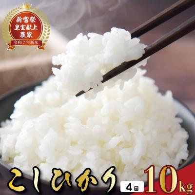 ふるさと納税 安芸市 【毎月定期便】4ヵ月連続でお届け!「コシヒカリ」定期便 10kg全4回