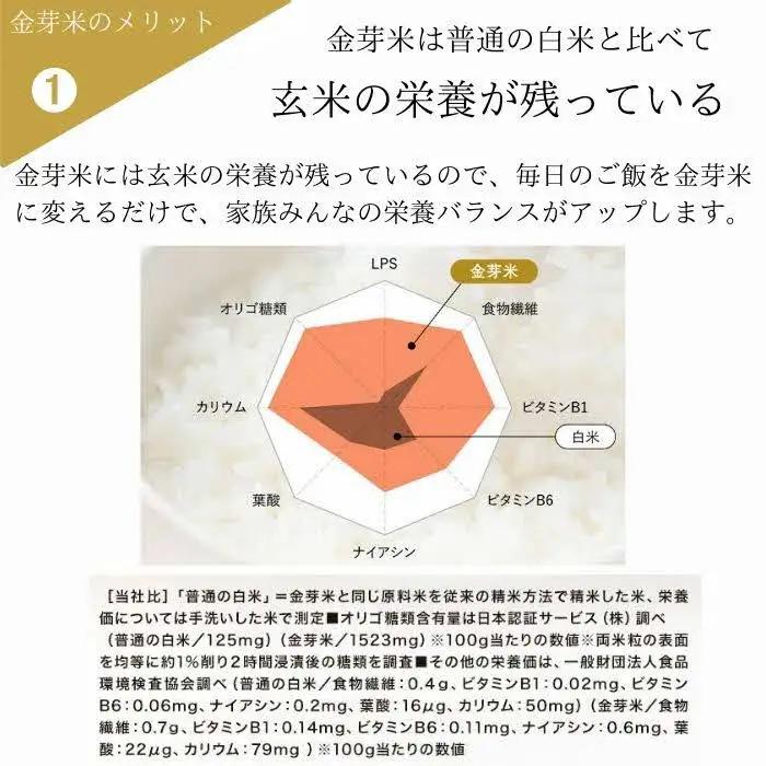 BG 無洗米 金芽米 にこまる 10kg （5kg×2袋） 計量カップ無し 【価格改定XA】【30-SS-65-2】