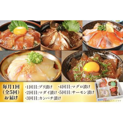 ふるさと納税 日向市 【毎月定期便】海鮮丼 海鮮漬け丼　全5回 |  | 01
