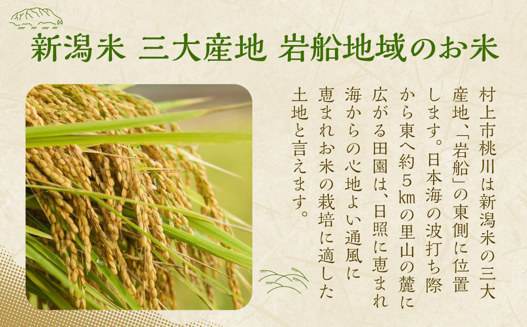 【新米受付・令和7年産米】 NA4209  新潟県村上市桃川産  特別栽培 コシヒカリ 6kg（2kg×3袋）