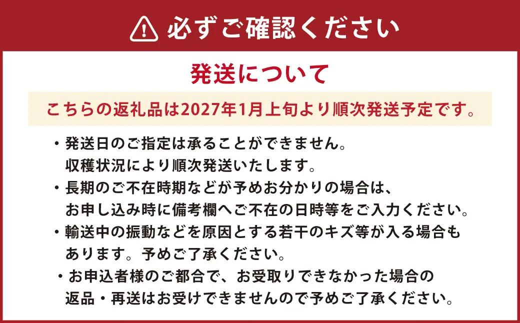 【年3回定期便】朝摘み当日発送！熊本県産いちご（ゆうべに）約1500g（約500g×3回）【2027年1月上旬発送開始】