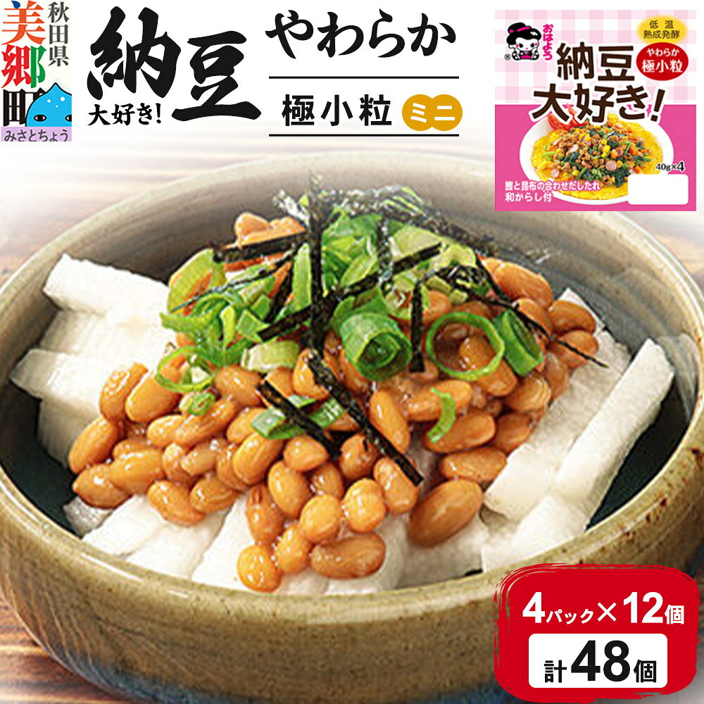 【ふるさと納税】ヤマダフーズ 納豆大好きやわらか 極小粒 ミニ 4パック×12個（計48個） [納豆 なっとう ナットウ 極小粒 ミニ サイズ やわらか 飯のお供 ご飯のおとも ごはんのお供 朝食]