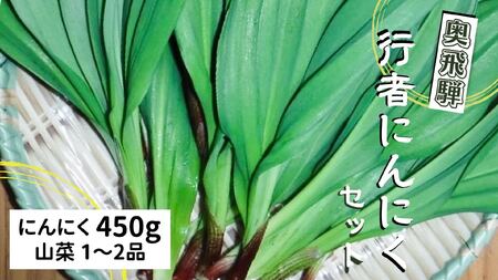 奥飛騨産 とれたて新鮮 生行者ニンニク 450g 行者ニンニク 行者にんにく 醤油漬け[Q654rewx] syun123