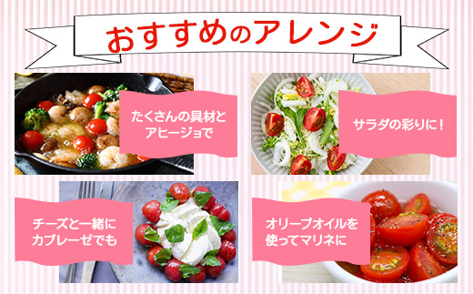 【2025年12月中旬から出荷】たにぐちファーム 完熟ミニトマト 約1kg 『Ricotomato とりこになるトマト』 B-324