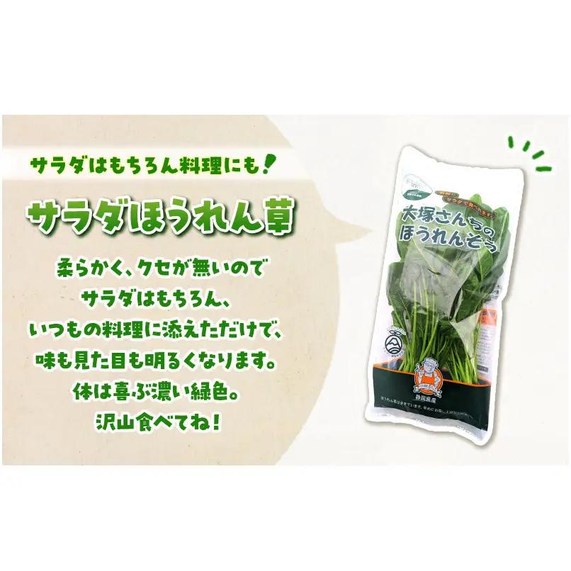 サラダほうれん草 44袋 野菜サラダセット 詰め合わせ ほうれんそう ホウレン草 新鮮 産地直送 大容量 業務用 まとめ買い 野菜セット ギフト 詰合せ 常備野菜