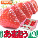 【ふるさと納税】定期便 3回 いちご 発送時期 2025年2月～4月 うるう農園のあまおう スタンダード4パック 約1.14kg 配送不可 離島　【定期便・ 果物類 フルーツ 安心 安全 美味しい 食べやすい 】　お届け：2025年2月～4月