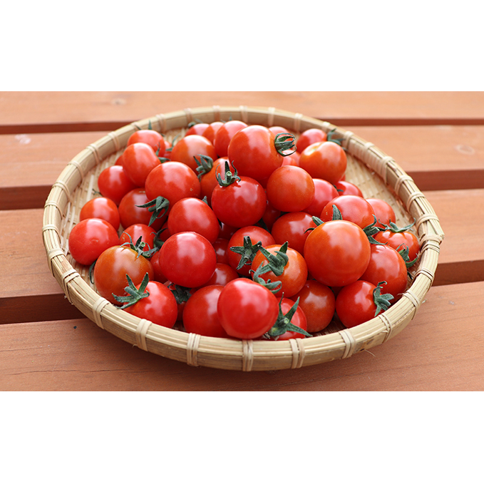 【2025年8月上旬頃から発送】農家直送！ミニトマト500g入り！朝採れ新鮮夏野菜ボックスL（7～9品入り）_イメージ5