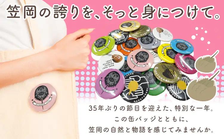 カブトガニ 缶バッジ 4個セット 笠岡市観光協会 缶バッジ