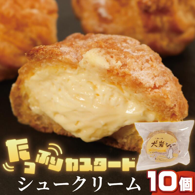 【ふるさと納税】 シュークリーム 10個 冷凍 お菓子 個包装 カスタード クリーム おやつ デザート スイーツ アイスシュー 洋菓子 小分け ご褒美 お取り寄せ グルメ ギフト プレゼント 贈物 人気 送料無料 ふるさと納税 ふるさと納税シュークリーム 千葉県 銚子市 ルノワ