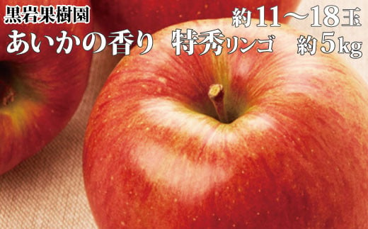 
[No.5657-2642]あいかの香り 特秀りんご 約5kg（約11～18玉）《黒岩果樹園》■2024年発送■※11月上旬頃～12月下旬頃まで順次発送予定
