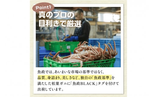 【蟹の匠 魚政】茹で　プレミアムズワイガニ 魚政BLACK（松葉ガニ・越前ガニ）特撰 特大サイズ（1200～1300g） 2匹セット　(11月～12月発送)　松葉蟹 蟹 かに カニ ガニ がに ボイル