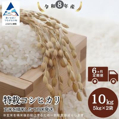 ふるさと納税 小松市 【6ヶ月定期便】特栽コシヒカリ 精米 白米 玄米10kgを精米したて白米発送 令和8年産 のむら農産
