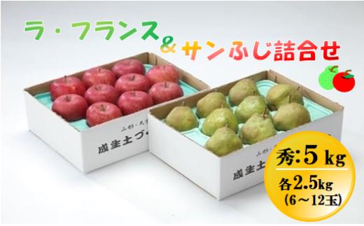 ラ・フランス&サンふじ詰合せ6kg