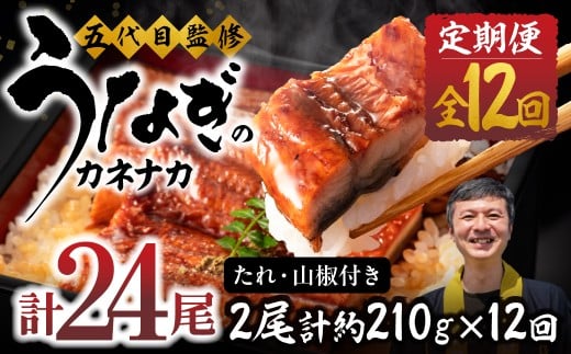 【12回 定期便】国産若うなぎ 2尾 老舗 国産うなぎ セット 詰め合わせ 蒲焼 ウナギ 2尾 うなぎ 鰻 ウナギ unagi 土用 丑の日 国産 国産うなぎ 若うなぎ カネナカ うなぎのカネナカ 蒲焼 タレ付 長焼 お祝い 誕生日 お歳暮 お中元 高級 プレゼント 鰻 うなぎ ウナギ ギフト