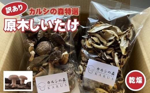Y-1006 【訳あり】カルシの森特選 原木しいたけ（乾燥）約160g