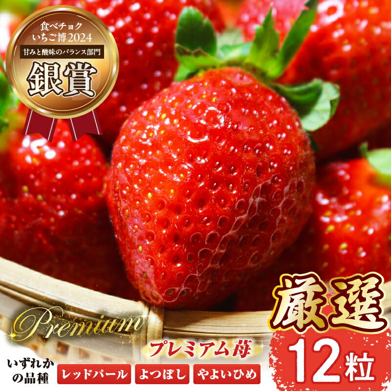【ふるさと納税】【生産者厳選】新鮮採れたて プレミアムいちご 12粒 レッドパール よつぼし やよいひめ 苺 イチゴ 大粒 フルーツ 産地直送 贈答用 限定 ふるさと 人気 おすすめ 贈答 ギフト お裾分け プレゼント 宮崎県 小林市 送料無料